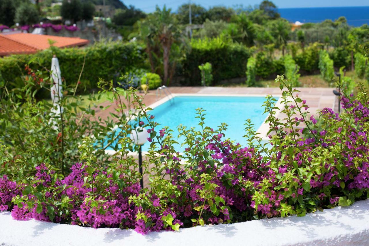 Panzitella Appartement Ischia Buitenkant foto