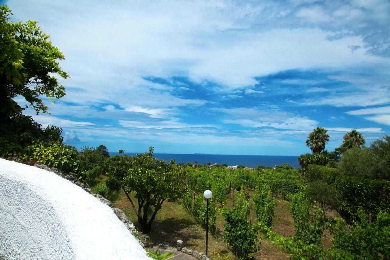 Panzitella Appartement Ischia Buitenkant foto